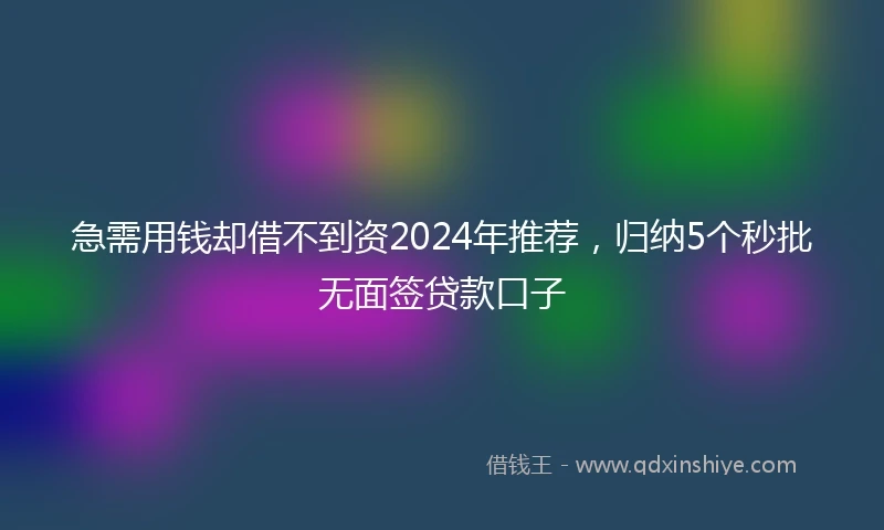 急需用钱却借不到资2024年推荐，归纳5个秒批无面签贷款口子