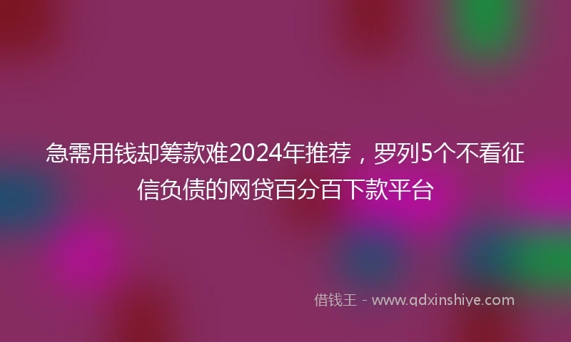 急需用钱却筹款难2024年推荐，罗列5个不看征信负债的网贷百分百下款平台