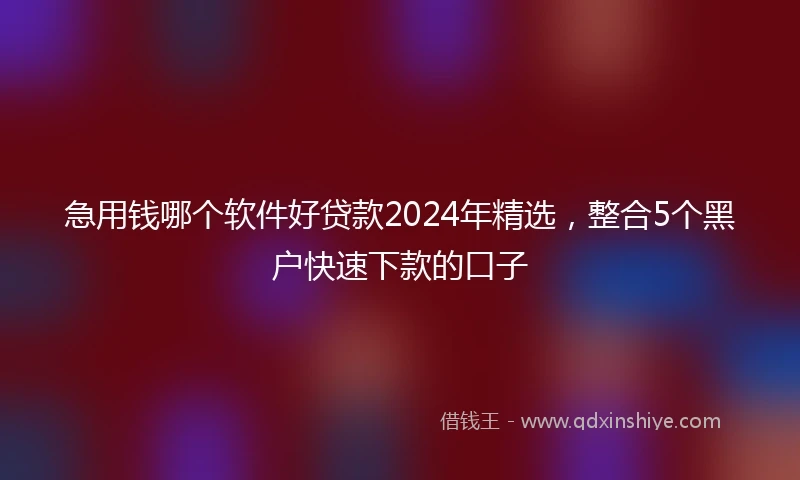 急用钱哪个软件好贷款2024年精选，整合5个黑户快速下款的口子