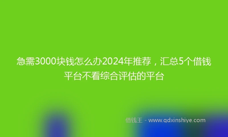 急需3000块钱怎么办2024年推荐，汇总5个借钱平台不看综合评估的平台