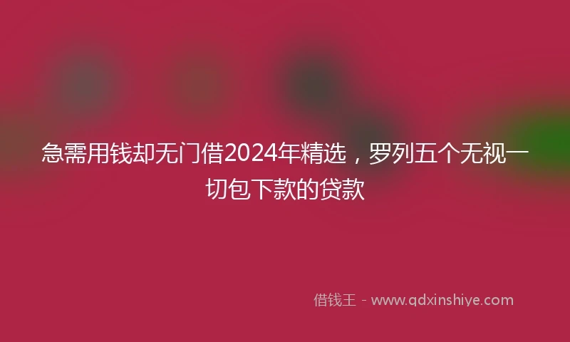 急需用钱却无门借2024年精选，罗列五个无视一切包下款的贷款
