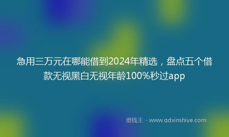 急用三万元在哪能借到2024年精选，盘点五个借款无视黑白无视年龄100%秒过app