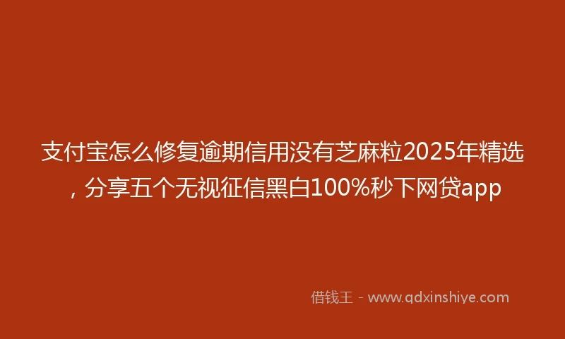 支付宝怎么修复逾期信用没有芝麻粒2025年精选，分享五个无视征信黑白100%秒下网贷app