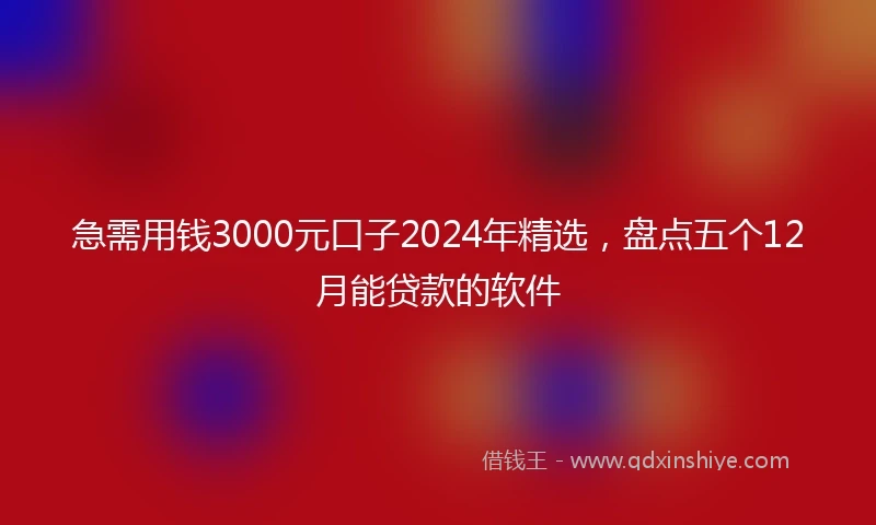 急需用钱3000元口子2024年精选，盘点五个12月能贷款的软件