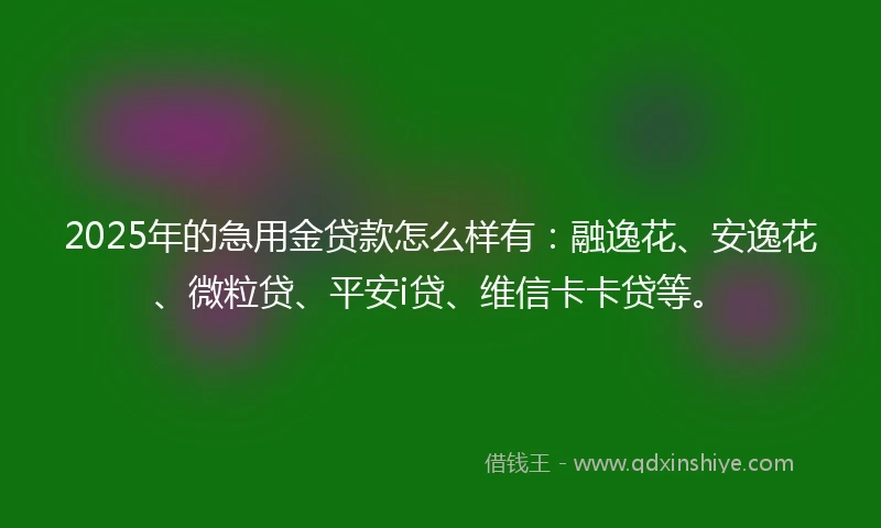2025年的急用金贷款怎么样有：融逸花、安逸花、微粒贷、平安i贷、维信卡卡贷等。
