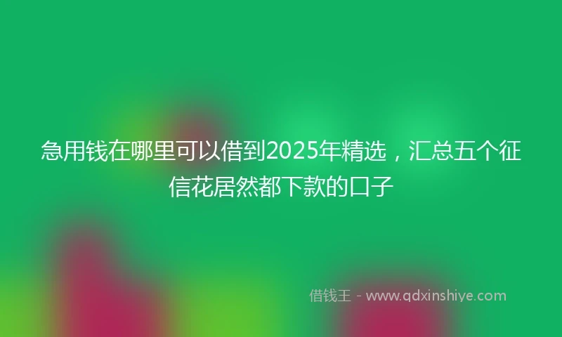 急用钱在哪里可以借到2025年精选，汇总五个征信花居然都下款的口子