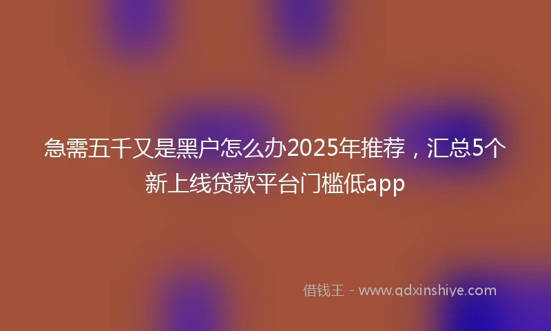 急需五千又是黑户怎么办2025年推荐，汇总5个新上线贷款平台门槛低app