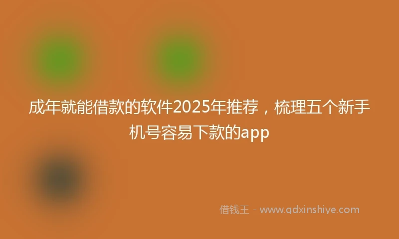 成年就能借款的软件2025年推荐，梳理五个新手机号容易下款的app
