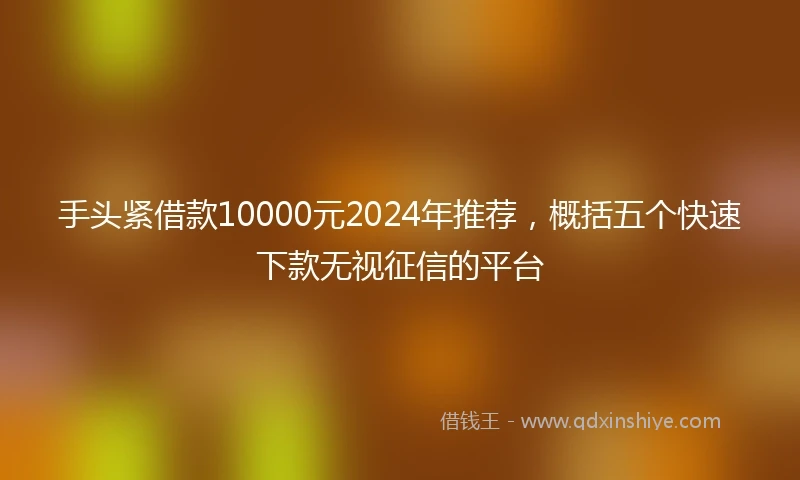 手头紧借款10000元2024年推荐，概括五个快速下款无视征信的平台