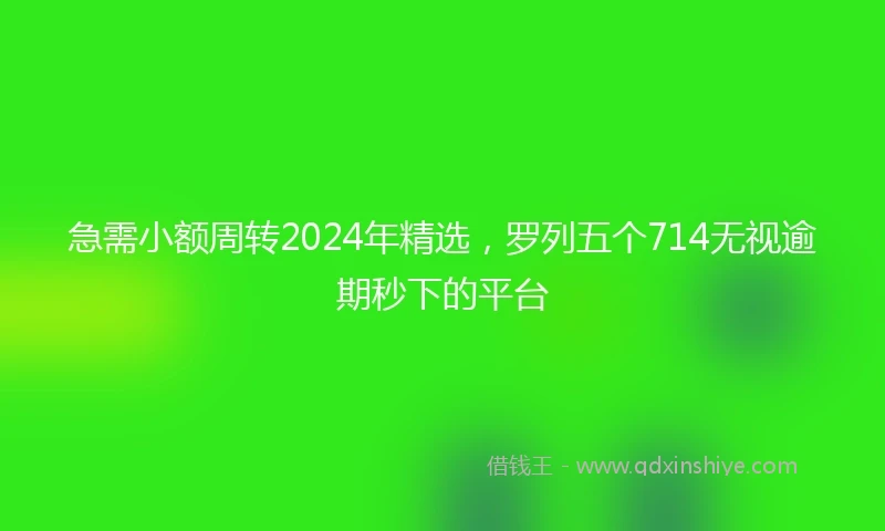 急需小额周转2024年精选，罗列五个714无视逾期秒下的平台