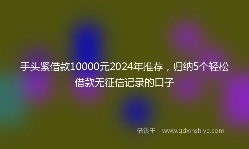 手头紧借款10000元2024年推荐，归纳5个轻松借款无征信记录的口子