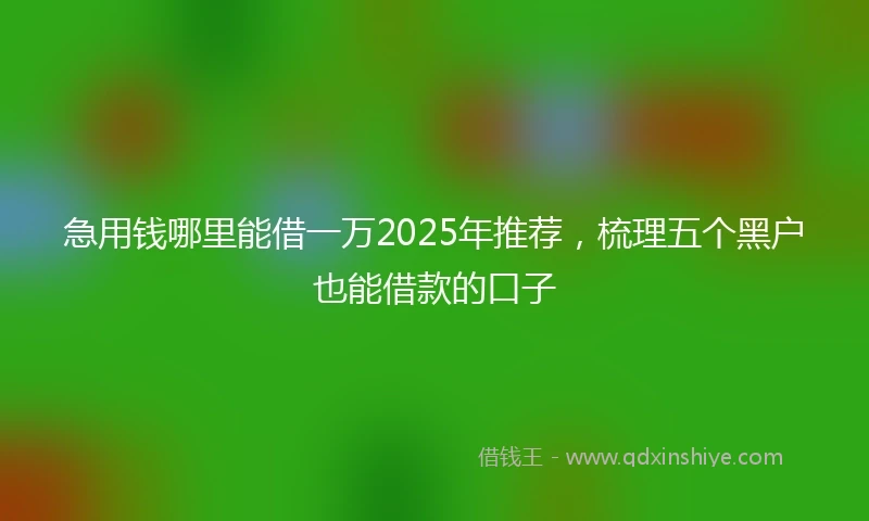 急用钱哪里能借一万2025年推荐，梳理五个黑户也能借款的口子