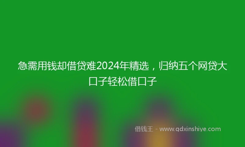 急需用钱却借贷难2024年精选，归纳五个网贷大口子轻松借口子