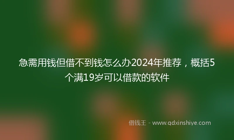 急需用钱但借不到钱怎么办2024年推荐，概括5个满19岁可以借款的软件