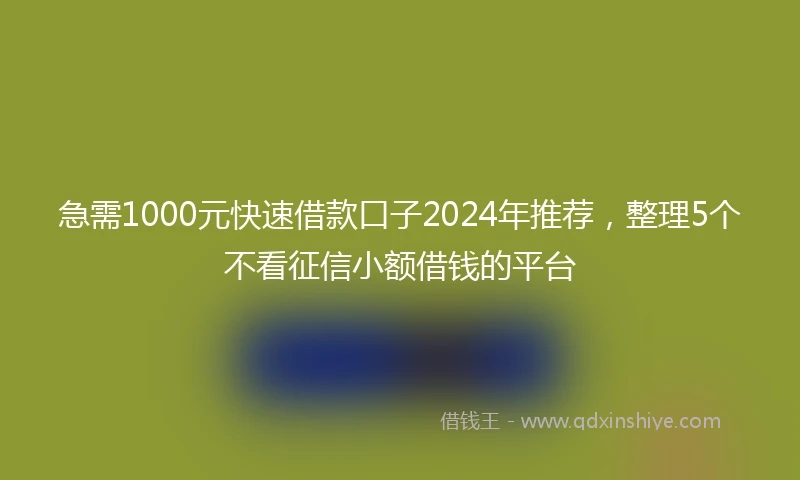 急需1000元快速借款口子2024年推荐，整理5个不看征信小额借钱的平台