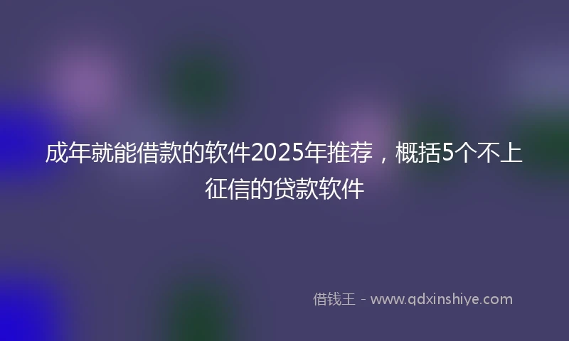 成年就能借款的软件2025年推荐，概括5个不上征信的贷款软件