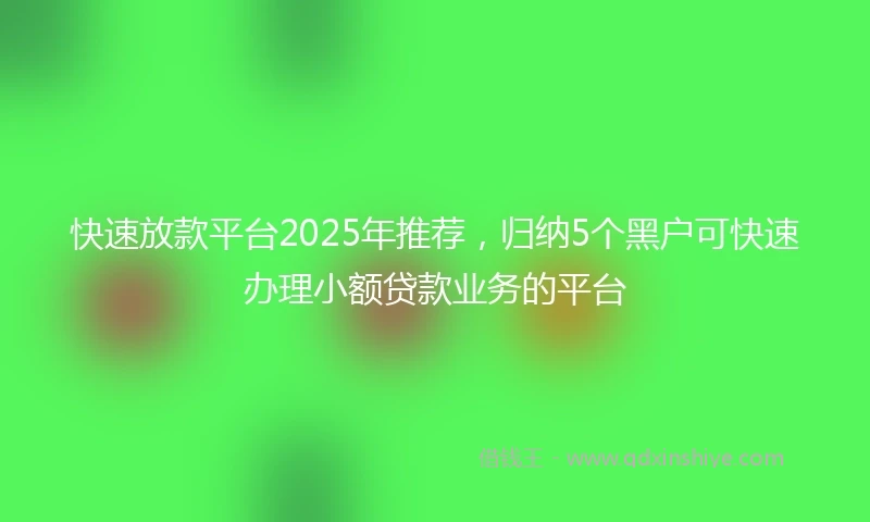 快速放款平台2025年推荐，归纳5个黑户可快速办理小额贷款业务的平台