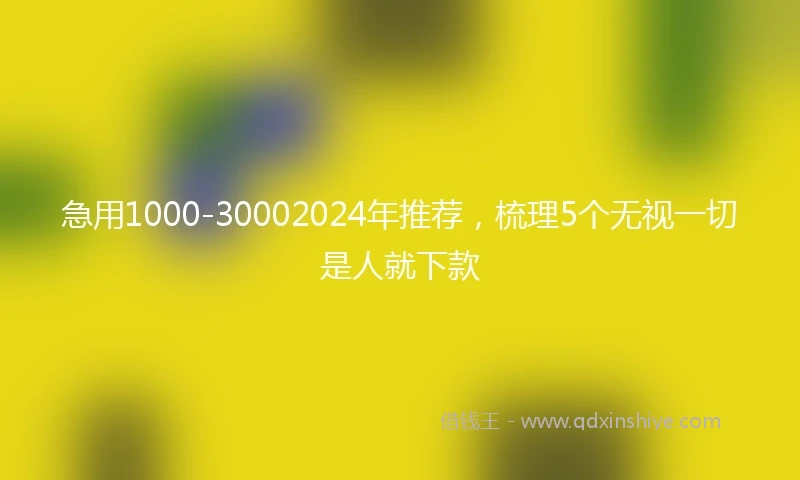 急用1000-30002024年推荐，梳理5个无视一切是人就下款
