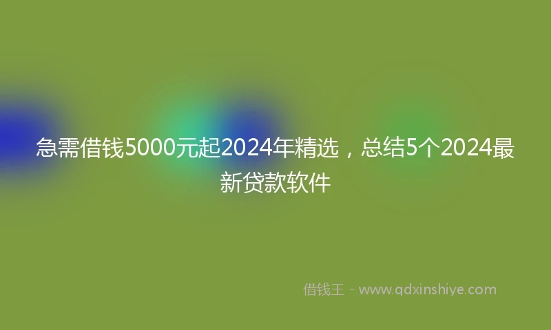 急需借钱5000元起2024年精选，总结5个2024最新贷款软件