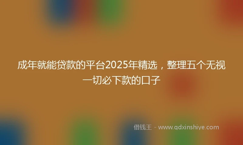 成年就能贷款的平台2025年精选，整理五个无视一切必下款的口子