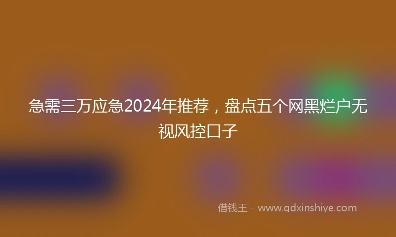 急需三万应急2024年推荐，盘点五个网黑烂户无视风控口子