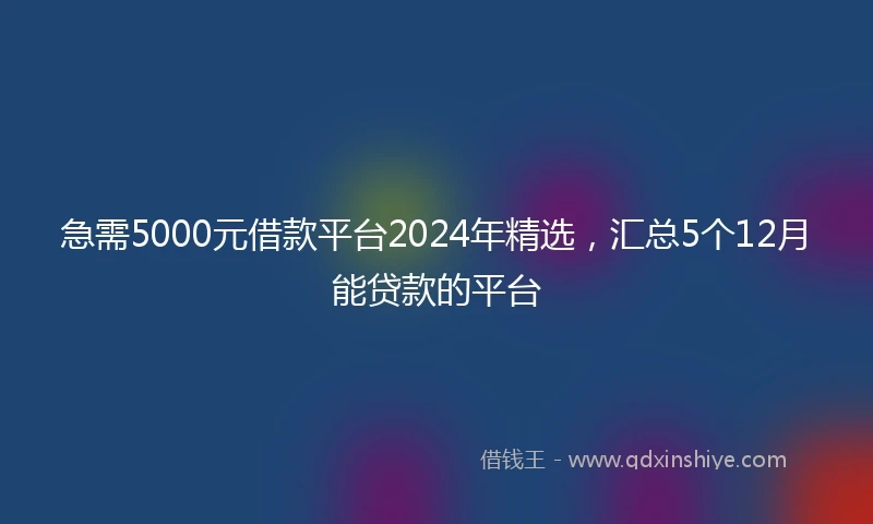 急需5000元借款平台2024年精选，汇总5个12月能贷款的平台