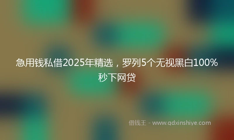 急用钱私借2025年精选,罗列5个无视黑白100%秒下网贷