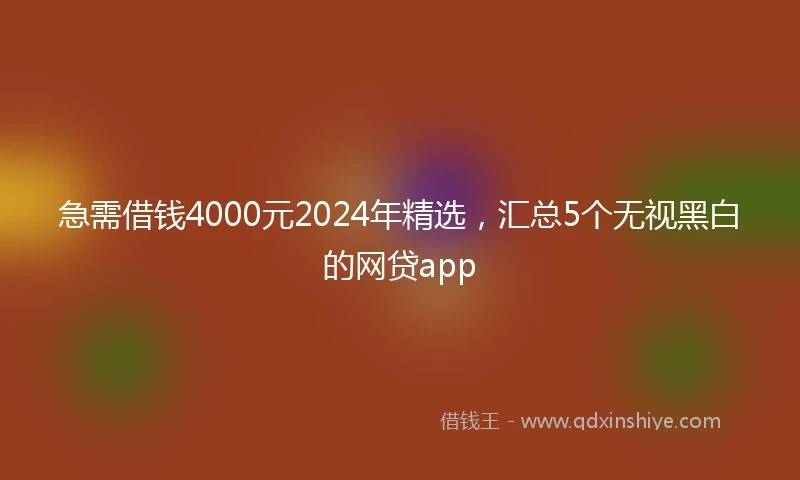 急需借钱4000元2024年精选，汇总5个无视黑白的网贷app