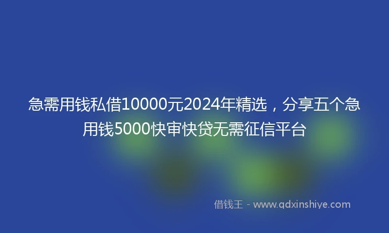 急需用钱私借10000元2024年精选，分享五个急用钱5000快审快贷无需征信平台