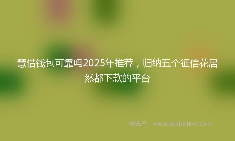 慧借钱包可靠吗2025年推荐，归纳五个征信花居然都下款的平台