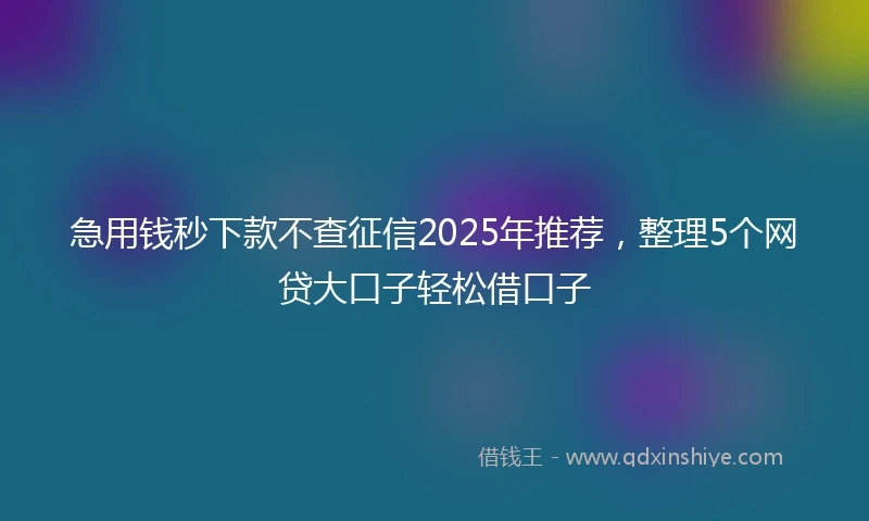 急用钱秒下款不查征信2025年推荐，整理5个网贷大口子轻松借口子