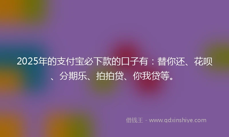2025年的支付宝必下款的口子有：替你还、花呗、分期乐、拍拍贷、你我贷等。