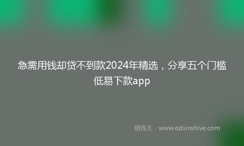 急需用钱却贷不到款2024年精选，分享五个门槛低易下款app
