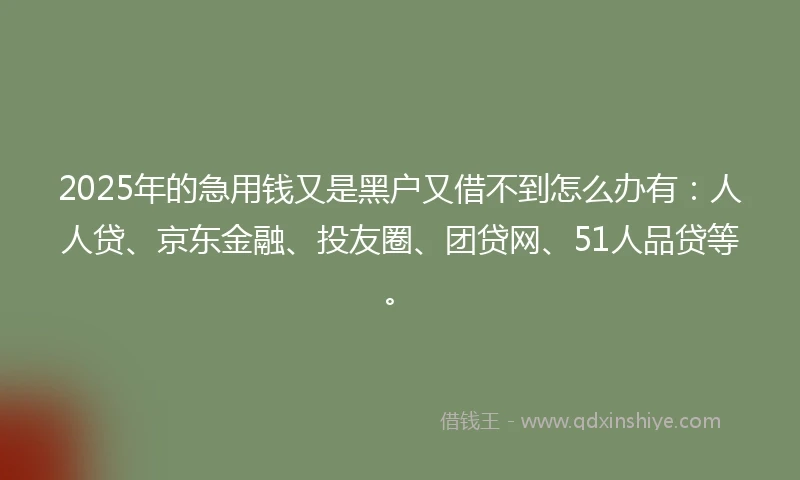 2025年的急用钱又是黑户又借不到怎么办有：人人贷、京东金融、投友圈、团贷网、51人品贷等。