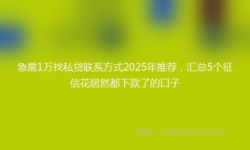急需1万找私贷联系方式2025年推荐，汇总5个征信花居然都下款了的口子