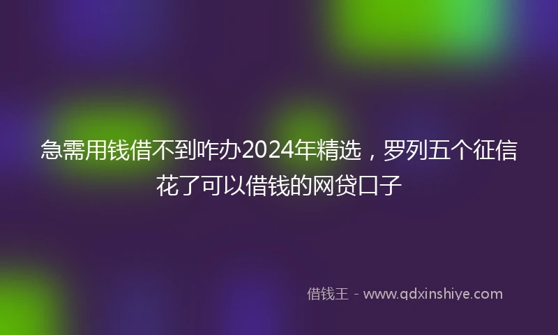 急需用钱借不到咋办2024年精选，罗列五个征信花了可以借钱的网贷口子