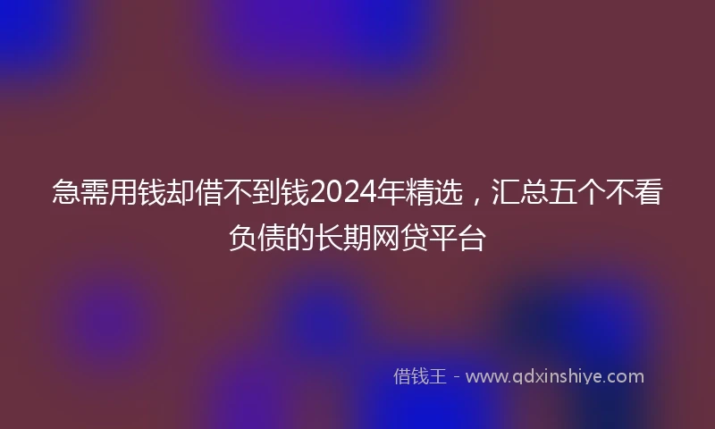 急需用钱却借不到钱2024年精选，汇总五个不看负债的长期网贷平台