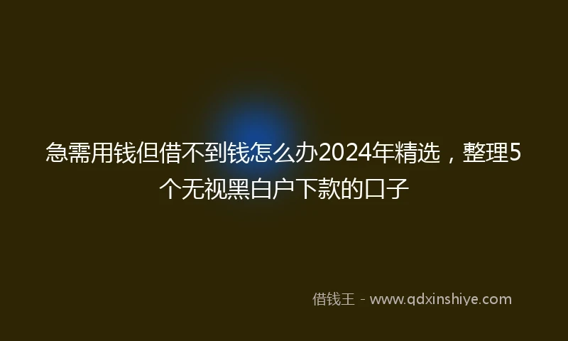 急需用钱但借不到钱怎么办2024年精选，整理5个无视黑白户下款的口子