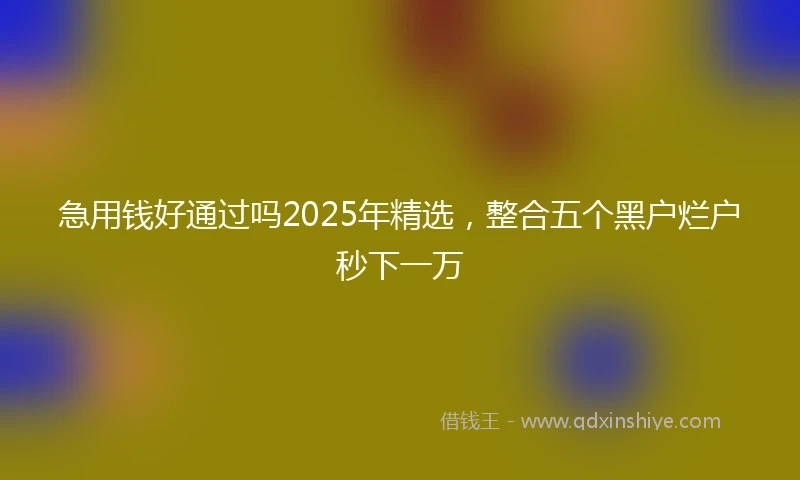 急用钱好通过吗2025年精选，整合五个黑户烂户秒下一万