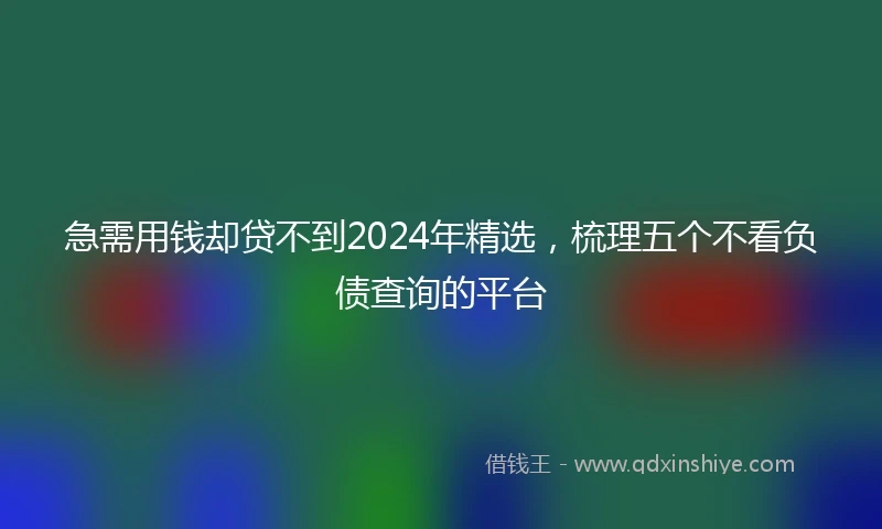 急需用钱却贷不到2024年精选，梳理五个不看负债查询的平台