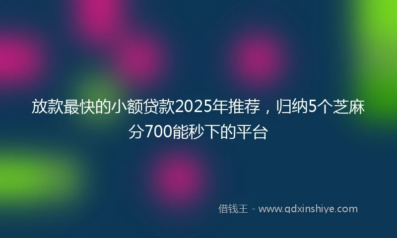 放款最快的小额贷款2025年推荐，归纳5个芝麻分700能秒下的平台