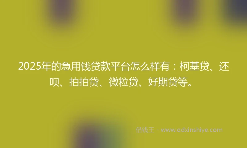 2025年的急用钱贷款平台怎么样有：柯基贷、还呗、拍拍贷、微粒贷、好期贷等。