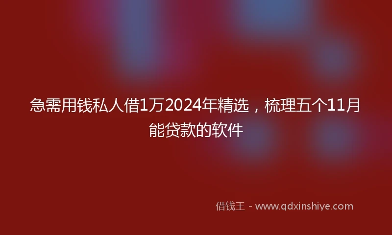 急需用钱私人借1万2024年精选，梳理五个11月能贷款的软件