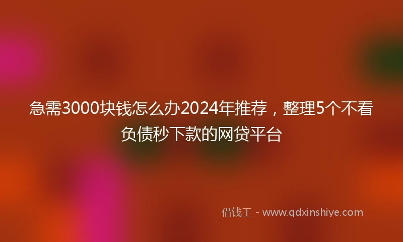 急需3000块钱怎么办2024年推荐，整理5个不看负债秒下款的网贷平台