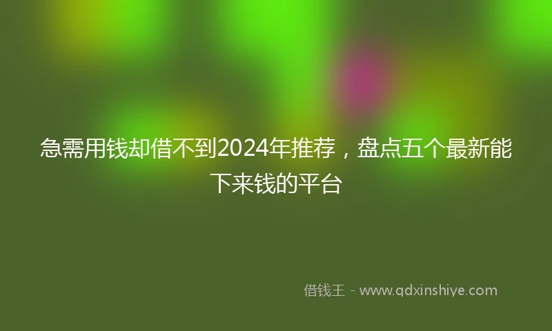 急需用钱却借不到2024年推荐，盘点五个最新能下来钱的平台
