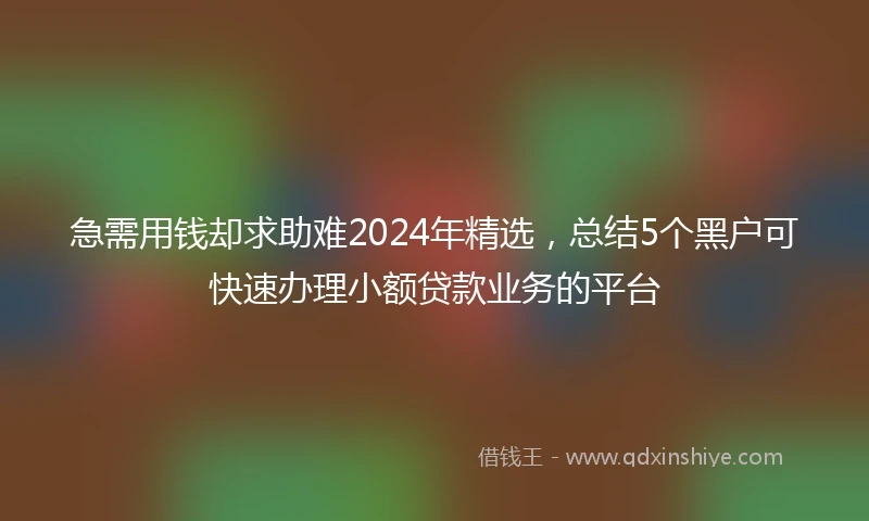 急需用钱却求助难2024年精选，总结5个黑户可快速办理小额贷款业务的平台
