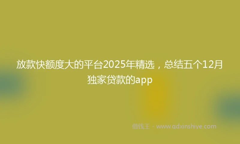 放款快额度大的平台2025年精选，总结五个12月独家贷款的app
