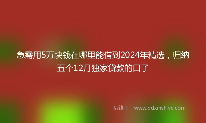 急需用5万块钱在哪里能借到2024年精选，归纳五个12月独家贷款的口子
