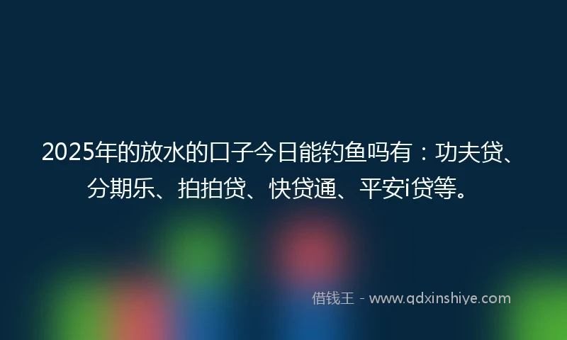 2025年的放水的口子今日能钓鱼吗有：功夫贷、分期乐、拍拍贷、快贷通、平安i贷等。