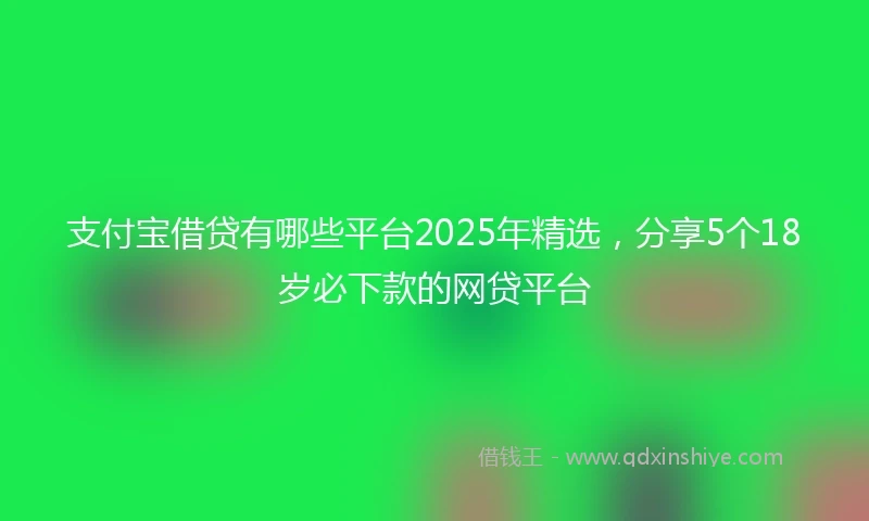 支付宝借贷有哪些平台2025年精选，分享5个18岁必下款的网贷平台